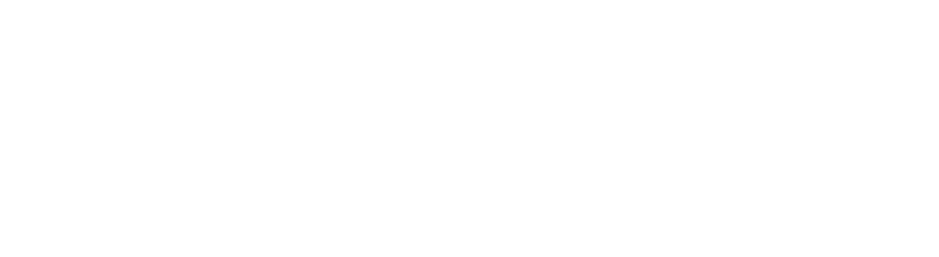 Action
