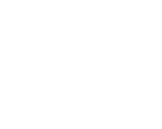 Globus Holding